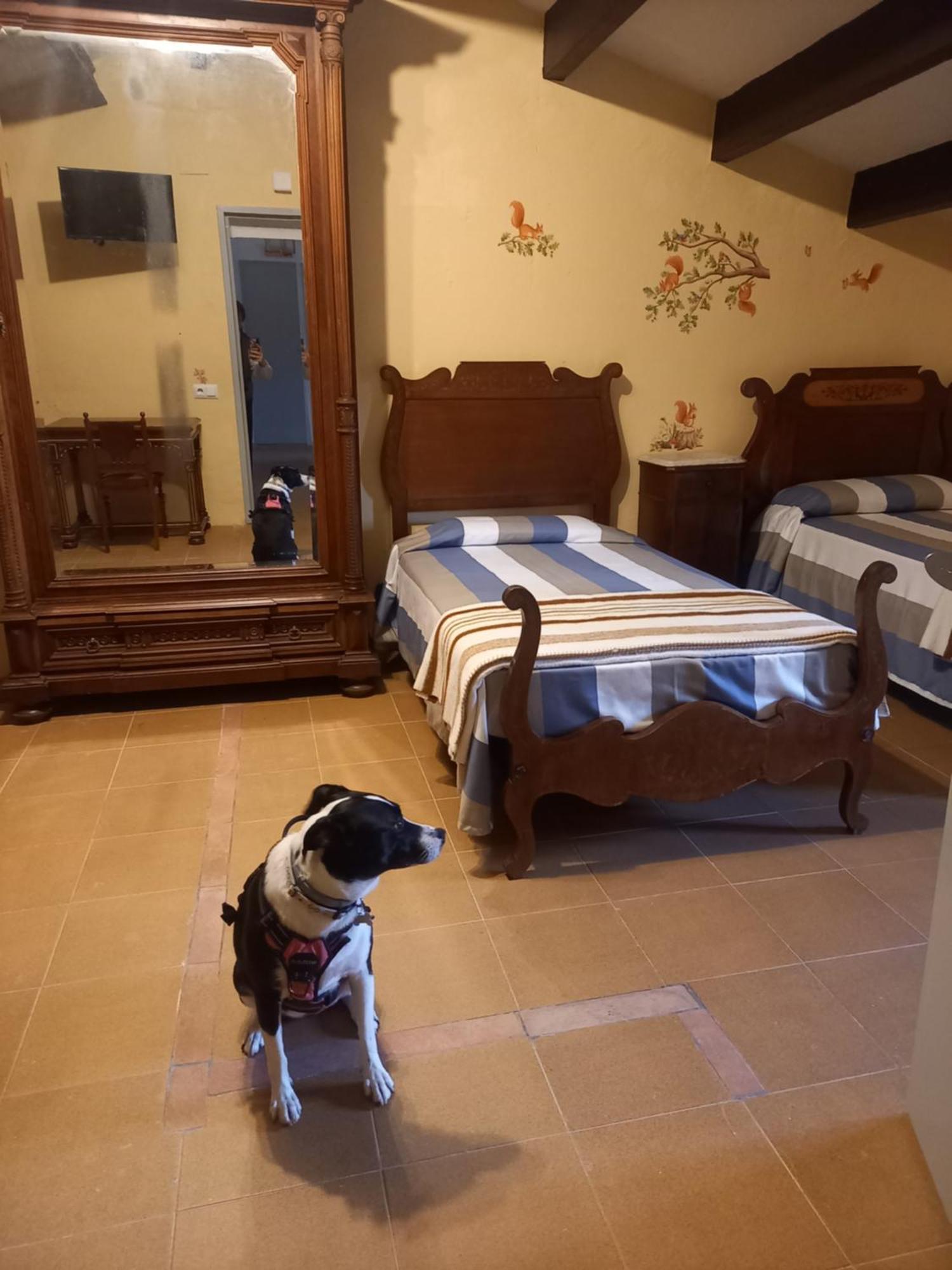 Hostal Rural Mas Blanc San Martin de Centellas Exterior photo