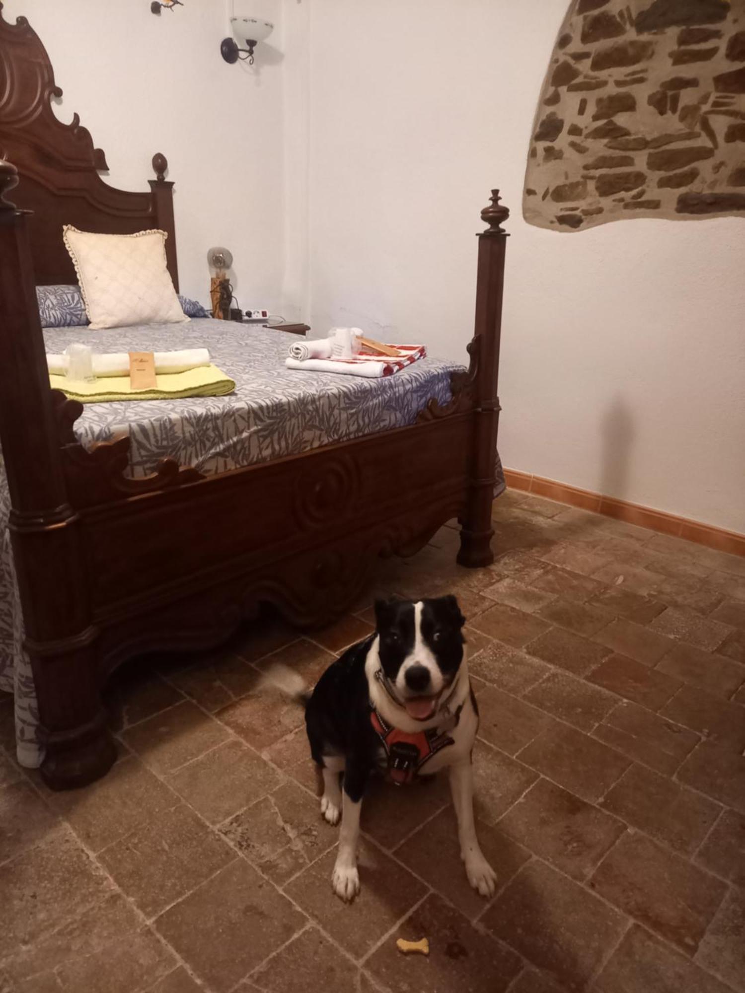 Hostal Rural Mas Blanc San Martin de Centellas Exterior photo